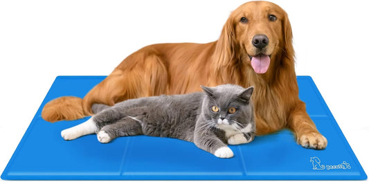 pecute Hundekühlmatte im Test: Die ideale Abkühlung für Ihren Vierbeiner?